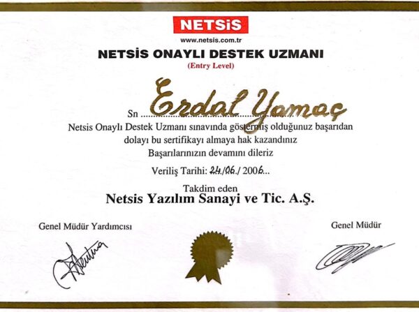 netsis netsis